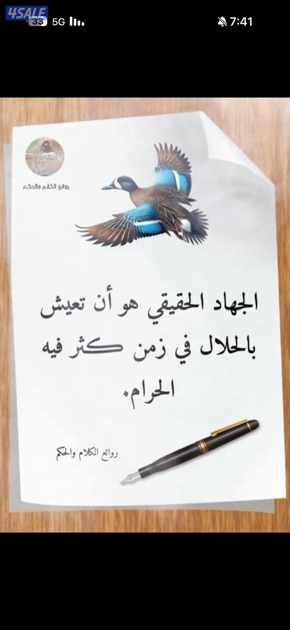 شقة 3 + 1صاله  + 2 حمام و مطبخ2