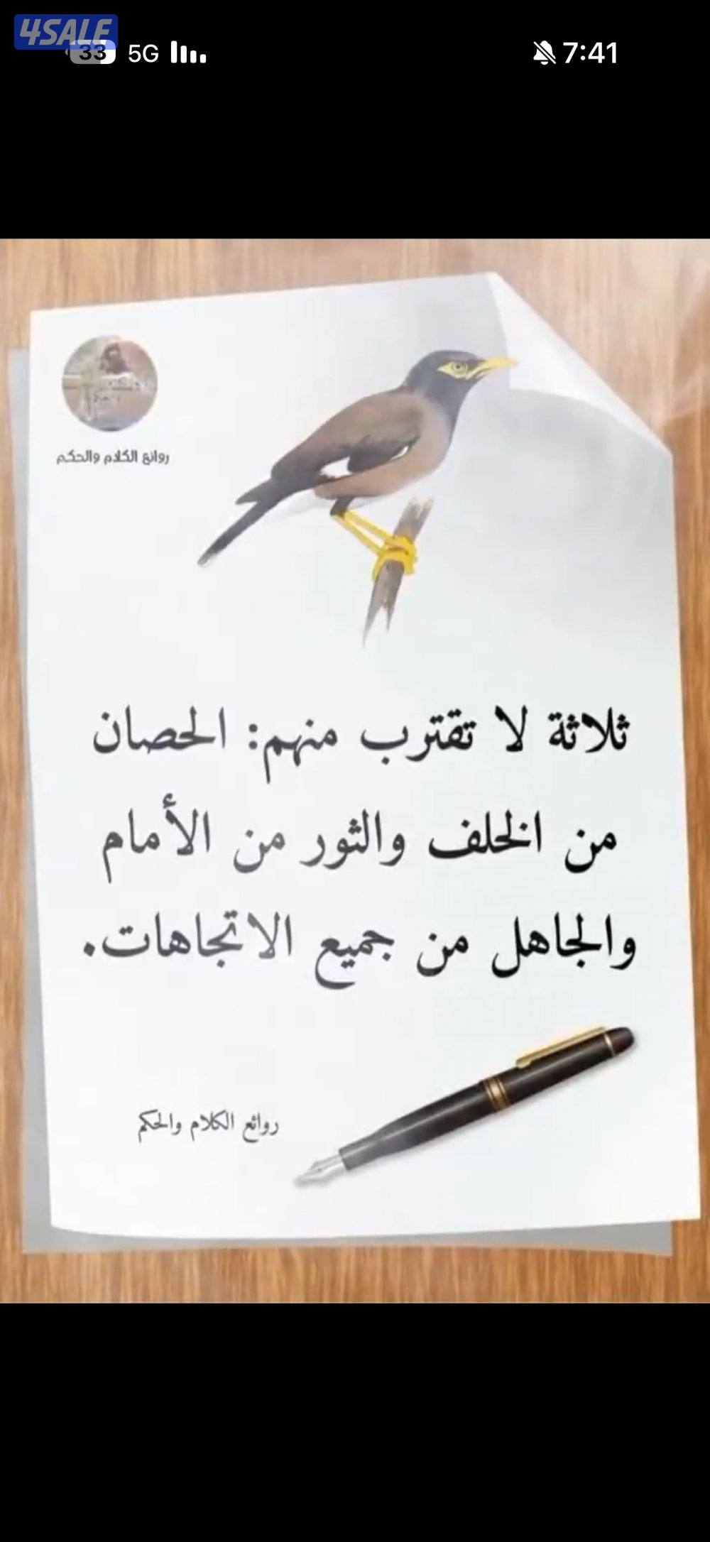 شقة 3 + 1صاله  + 2 حمام و مطبخ3