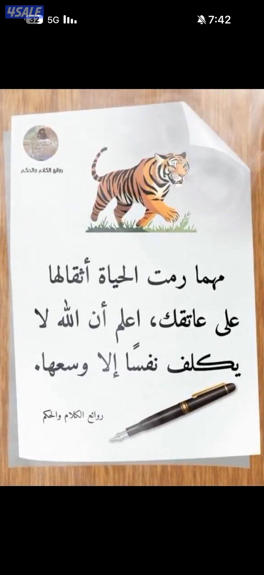 شقة 3 + 1صاله  + 2 حمام و مطبخ4