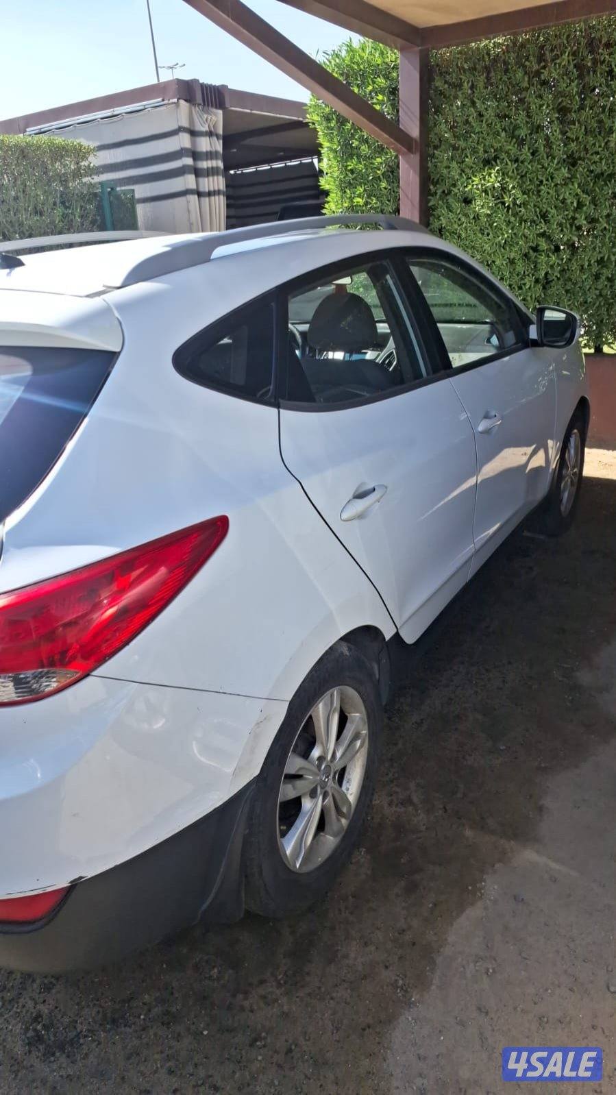 صباح الناصر1