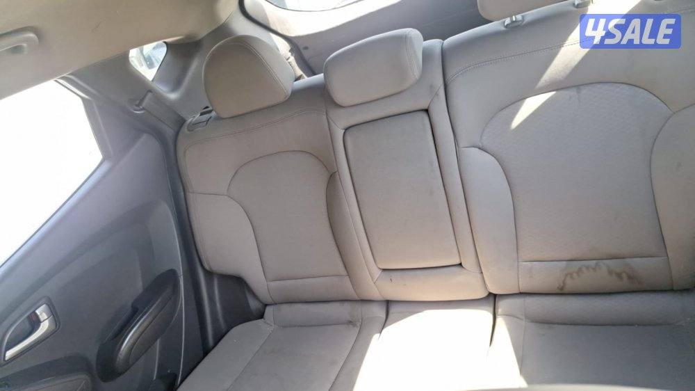 صباح الناصر3