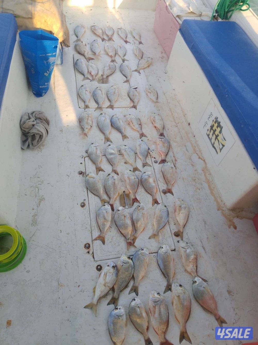 ايجار طراد اجار طراد تاجير الطراد3