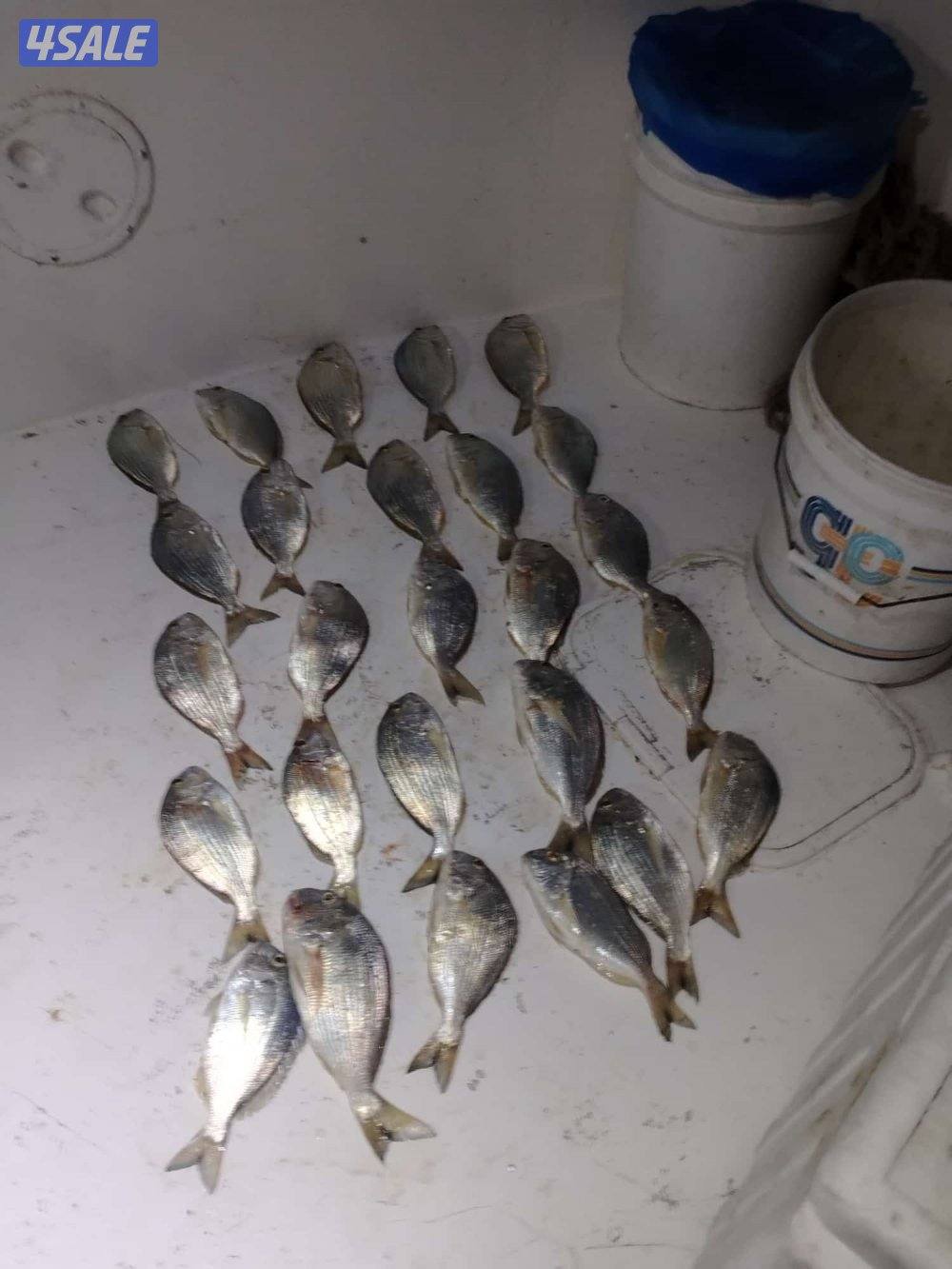 ايجار طراد اجار طراد تاجير الطراد7