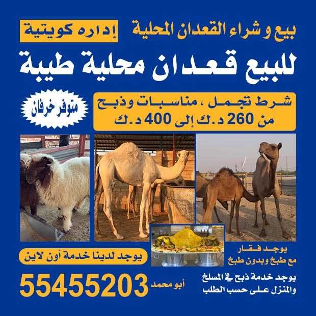 علي / مشترك بحث جديد1