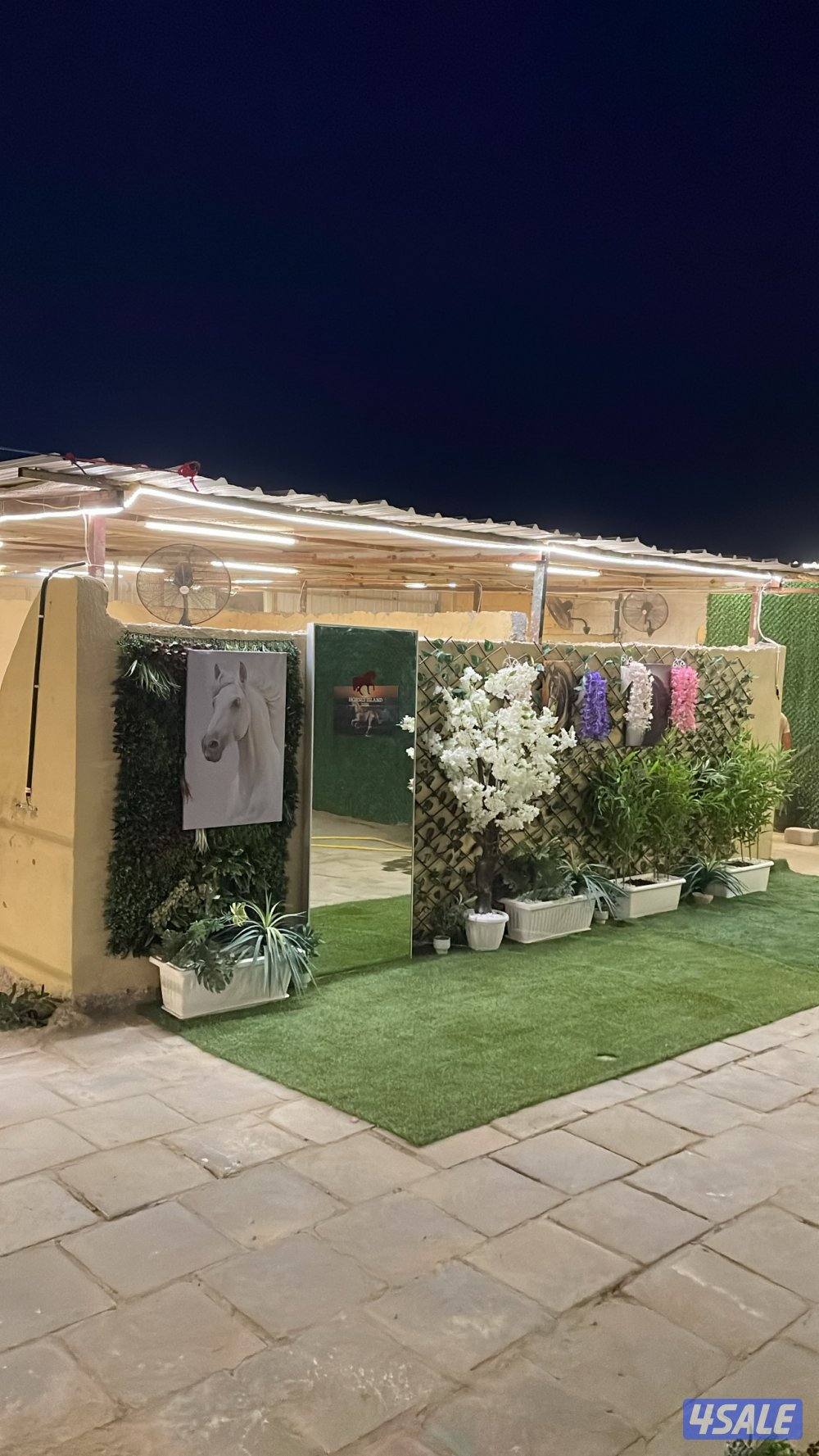 🐎مربط هورس ايلاند للخيل🐎2