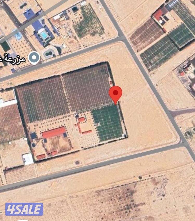 العبدلي قطعة 61