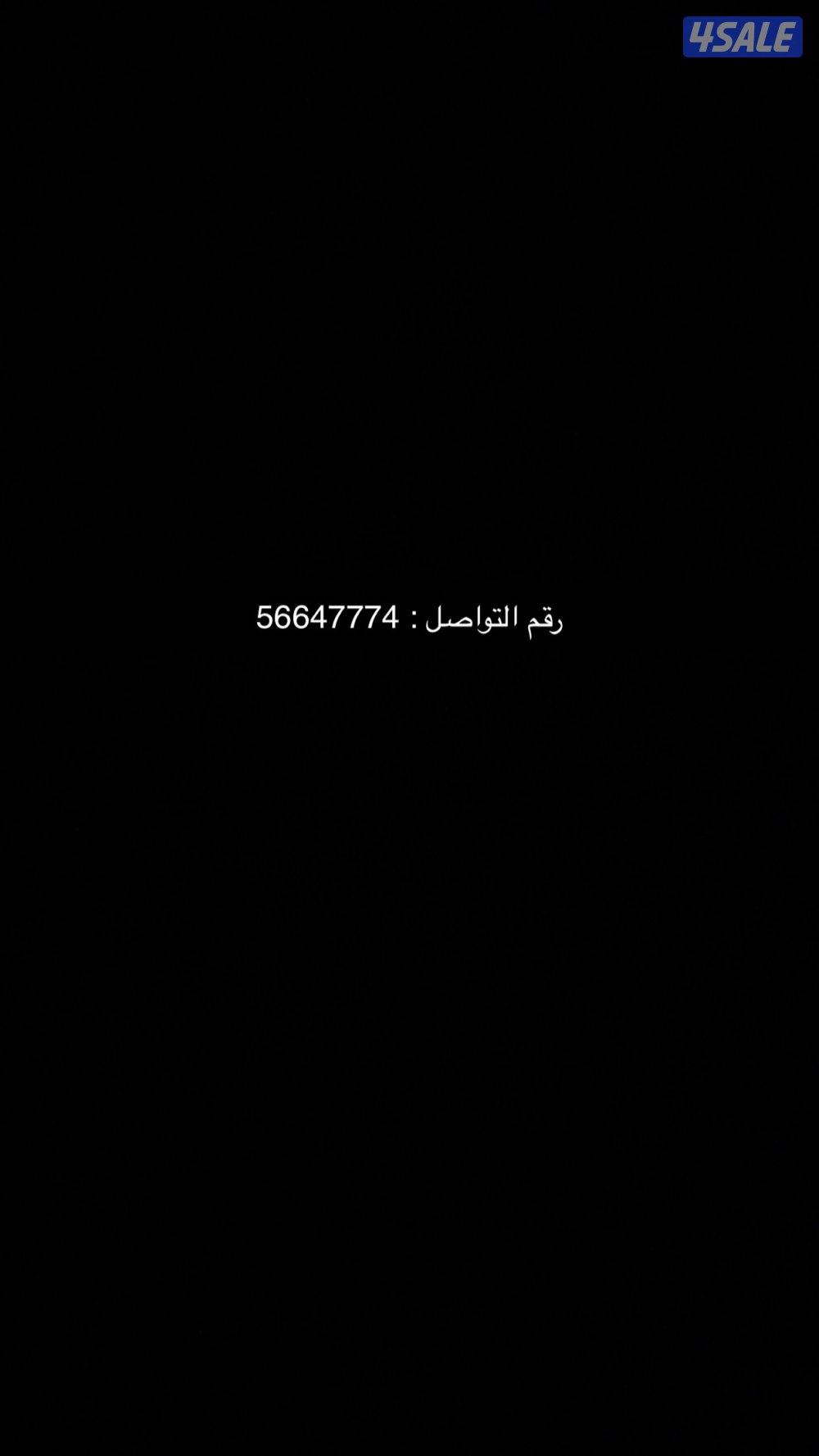 كوكر اسباني / عمره ٤شهور/ مطعم تطعيم الأول / مع جوازه والشريحه1