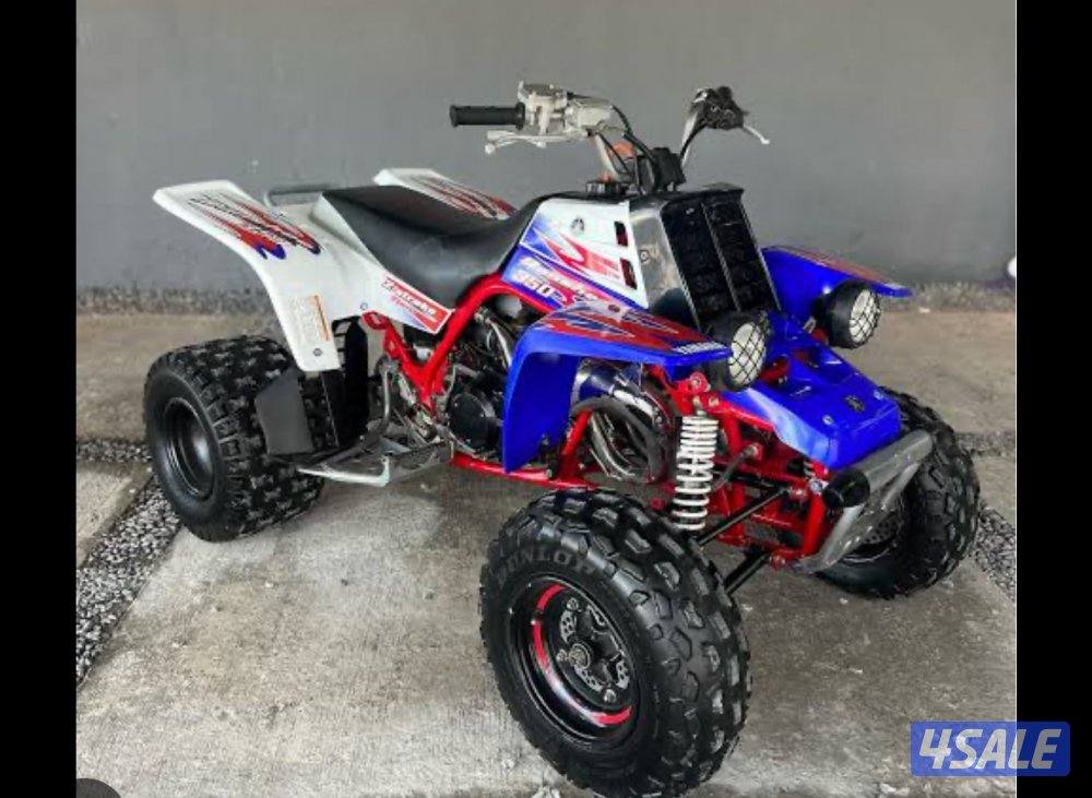 ابي بانشي 20110