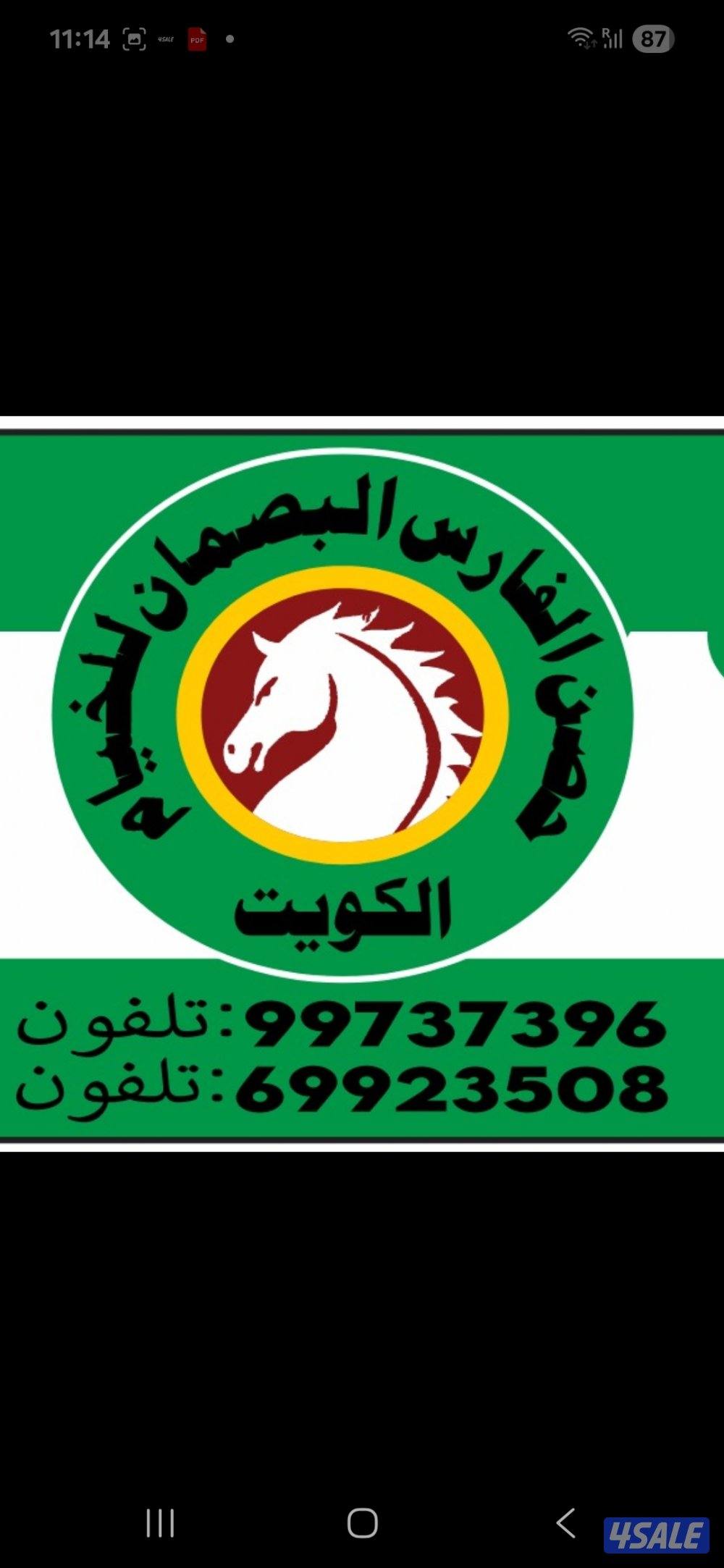 للبيع جديد خيام مشمع باكستانى فى خيام فارس البصمان15