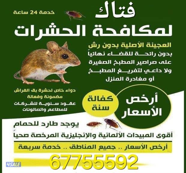 مكافحة حشرات> صراصير /نمل /بق فراش /بريعصي /جرزي فئراان0