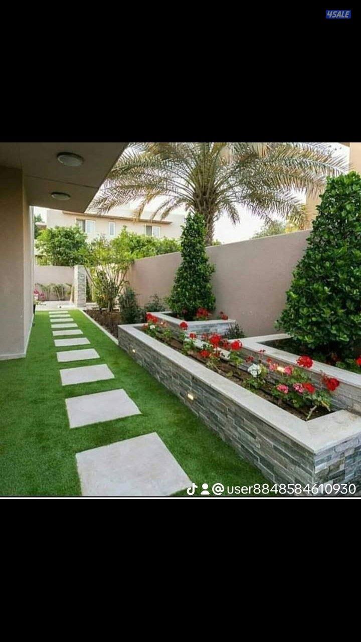 زراع مصرى زراعه جميع انواع الأشجار والورود وعمل صيانه للحدائق بدقه0