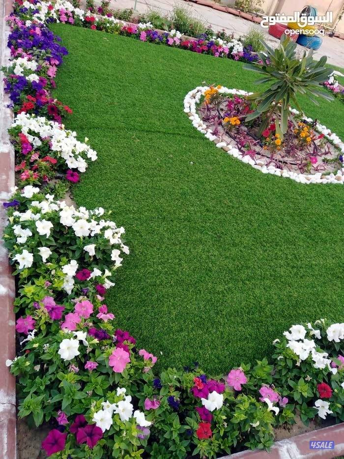 زراع مصرى زراعه جميع انواع الأشجار والورود وعمل صيانه للحدائق بدقه1