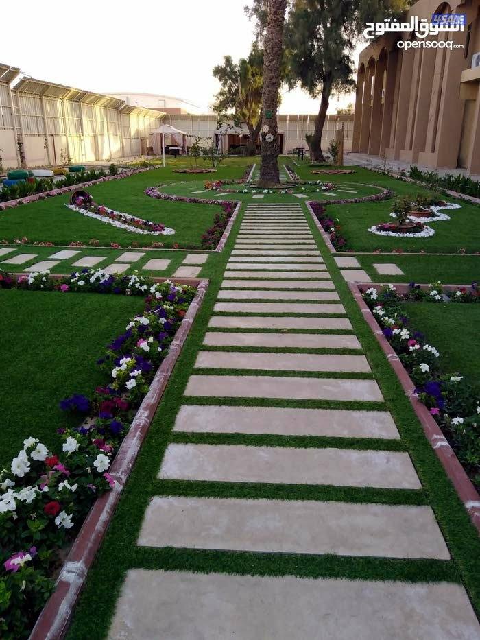 زراع مصرى زراعه جميع انواع الأشجار والورود وعمل صيانه للحدائق بدقه2