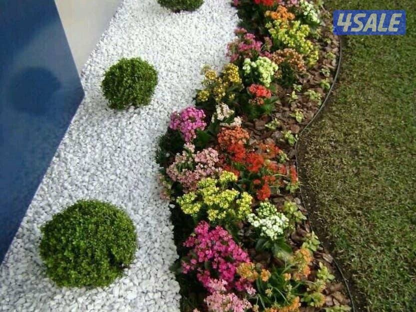 زراع مصرى زراعه جميع انواع الأشجار والورود وعمل صيانه للحدائق بدقه3