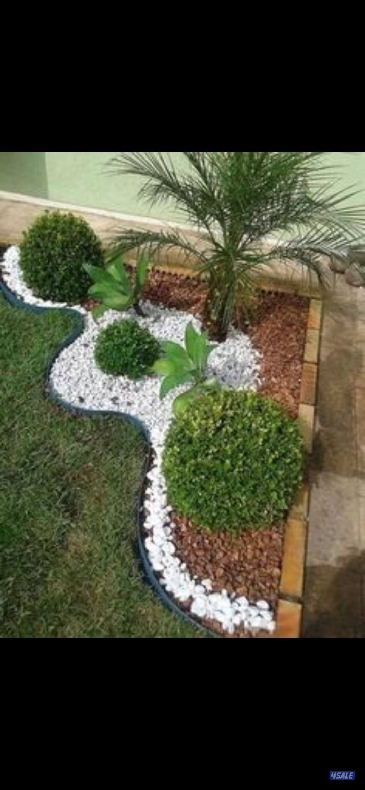 زراع مصرى زراعه جميع انواع الأشجار والورود وعمل صيانه للحدائق بدقه4