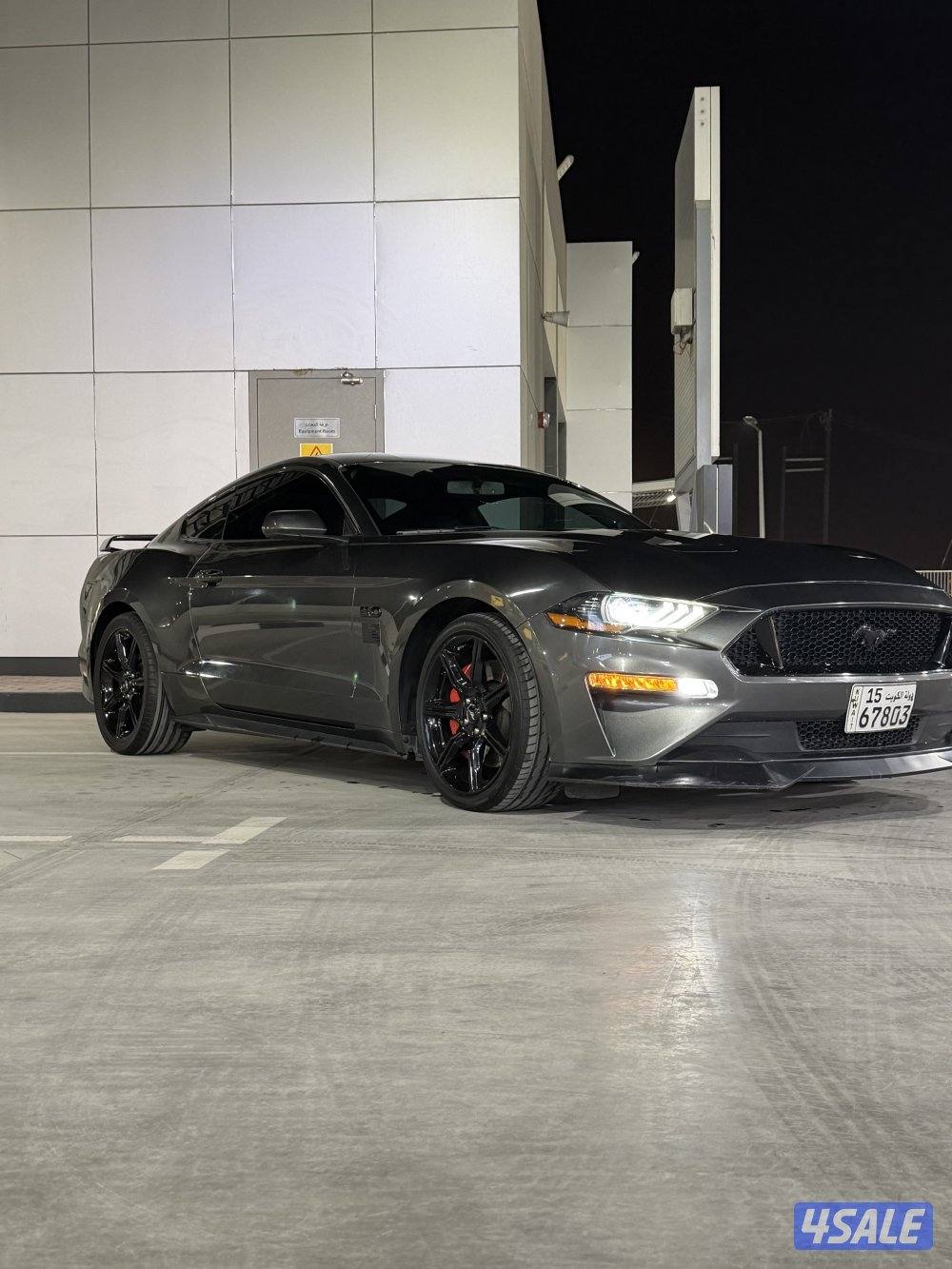 موستنق قير عادي0