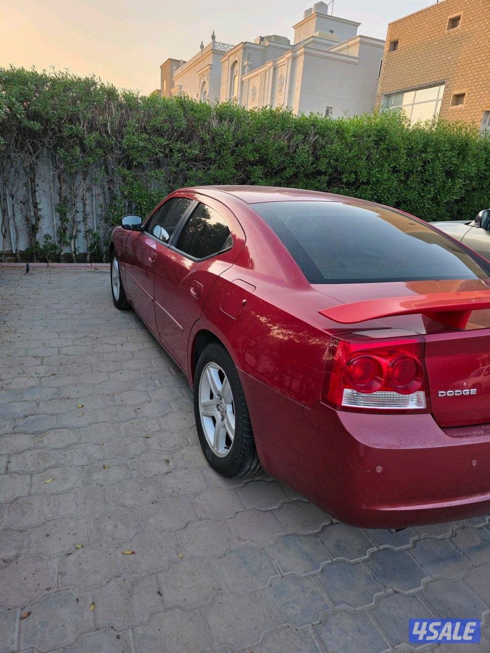 بيعه سريعه صبغ الوكالة ٢٠١٠ الفل بدون فتحة3