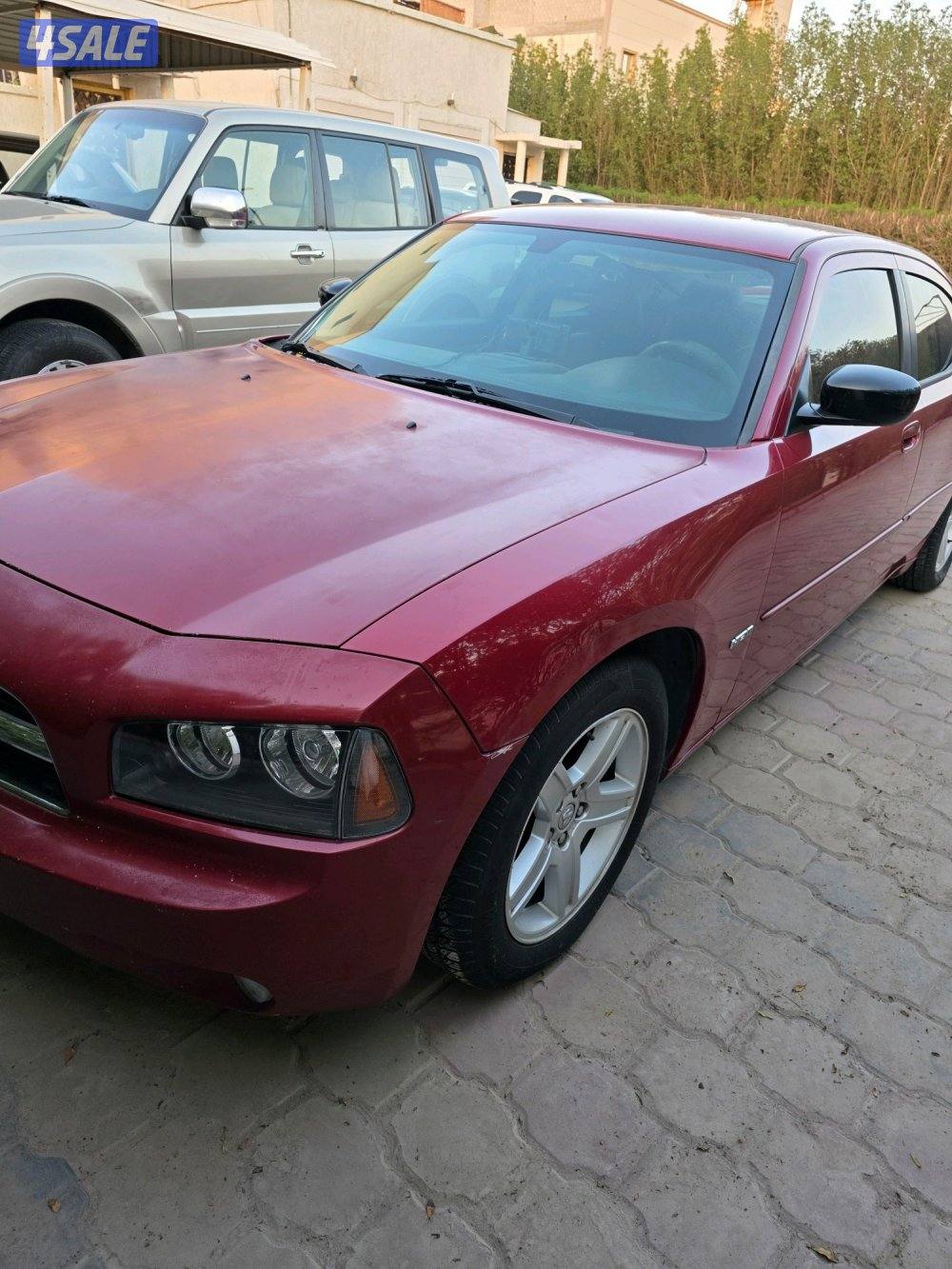 بيعه سريعه صبغ الوكالة ٢٠١٠ الفل بدون فتحة2