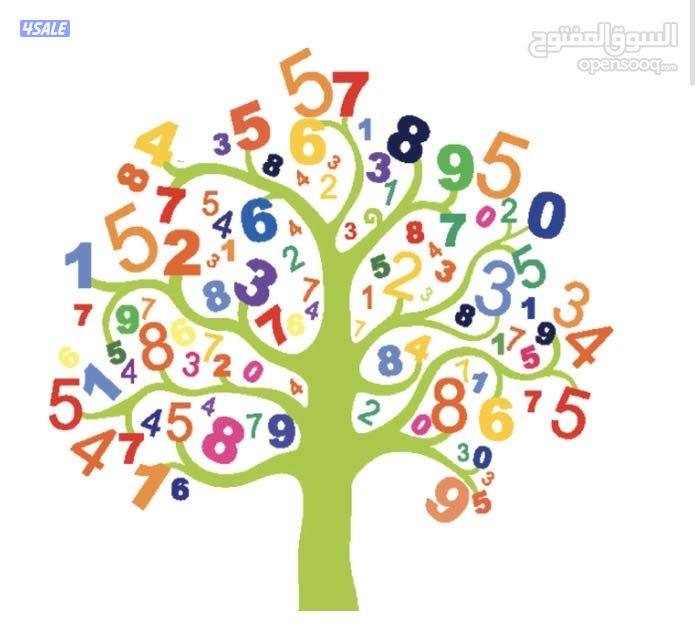 مدرس اول رياضيات للصفوف المتوسطة والثانوية ( الإحصاء )0