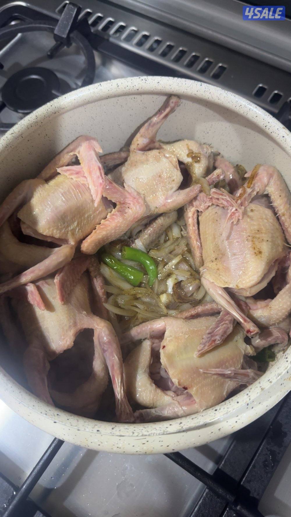 فروخ زاجل للبيع نادي الفروسيه الجهراء الذبح على الطلب يوجد توصيل3