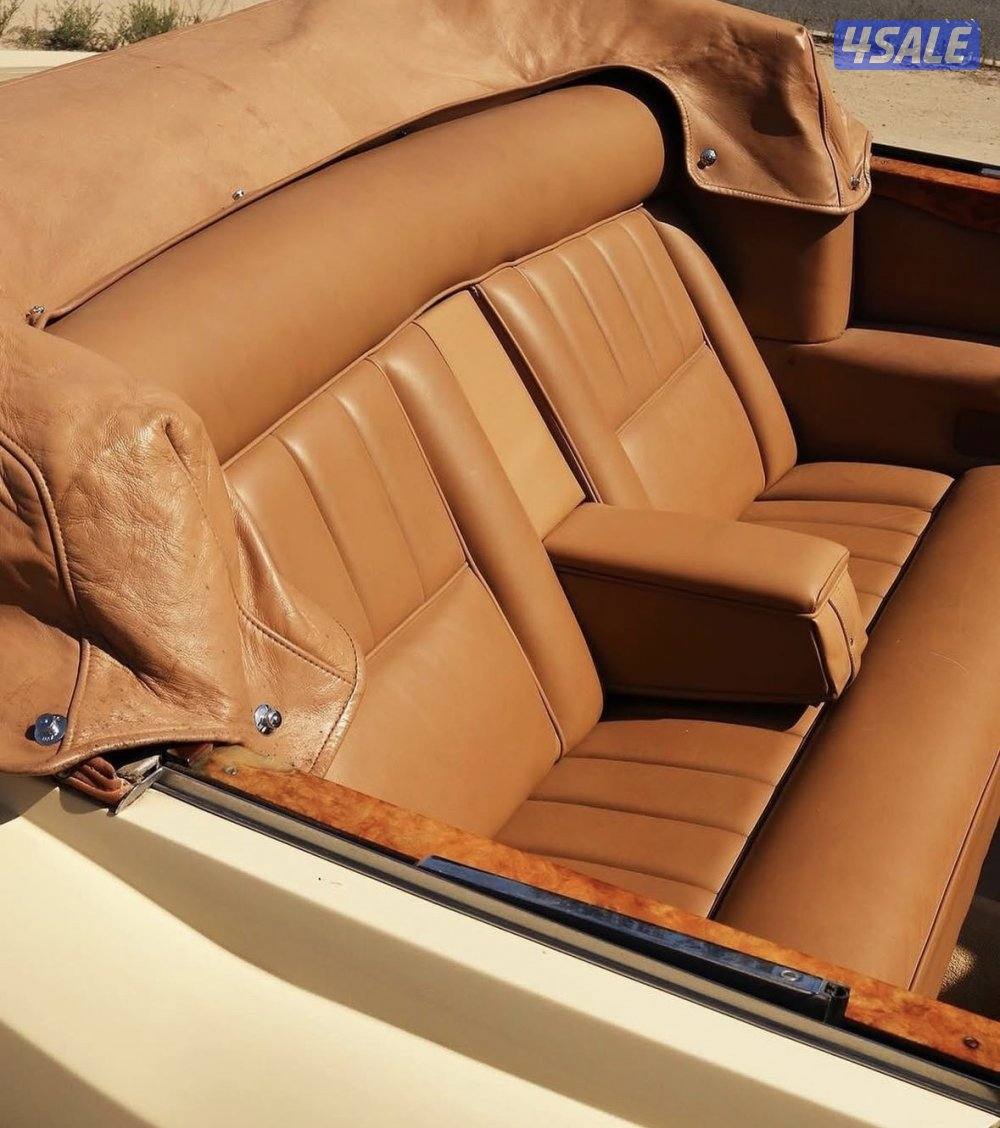 روز رايز كلاسيك4