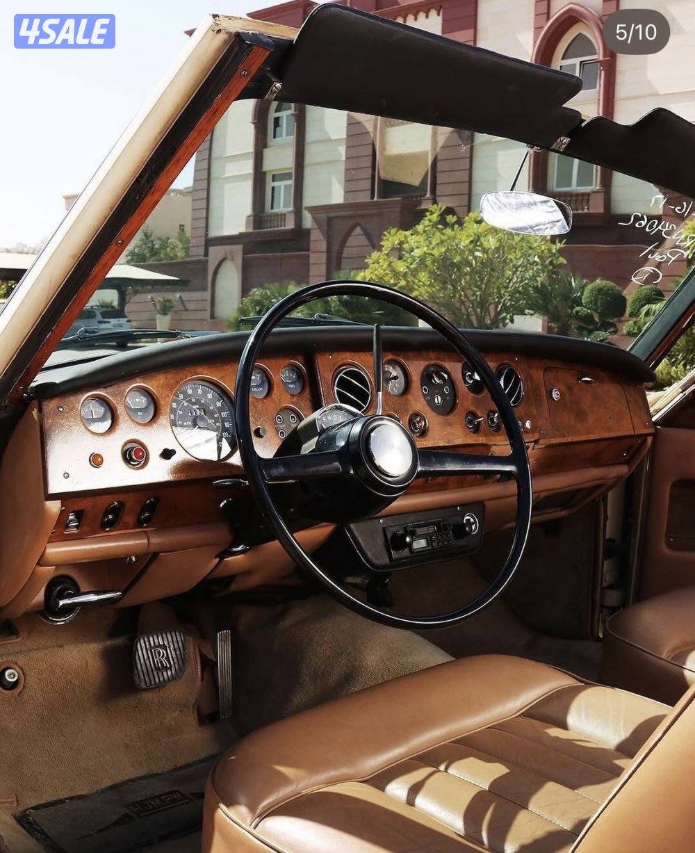 روز رايز كلاسيك8