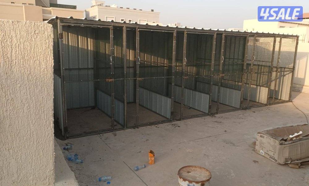 للبيع محاكر وأقفاص حمام جميع الأحجام .. كما يوجد كبرات معزوله13