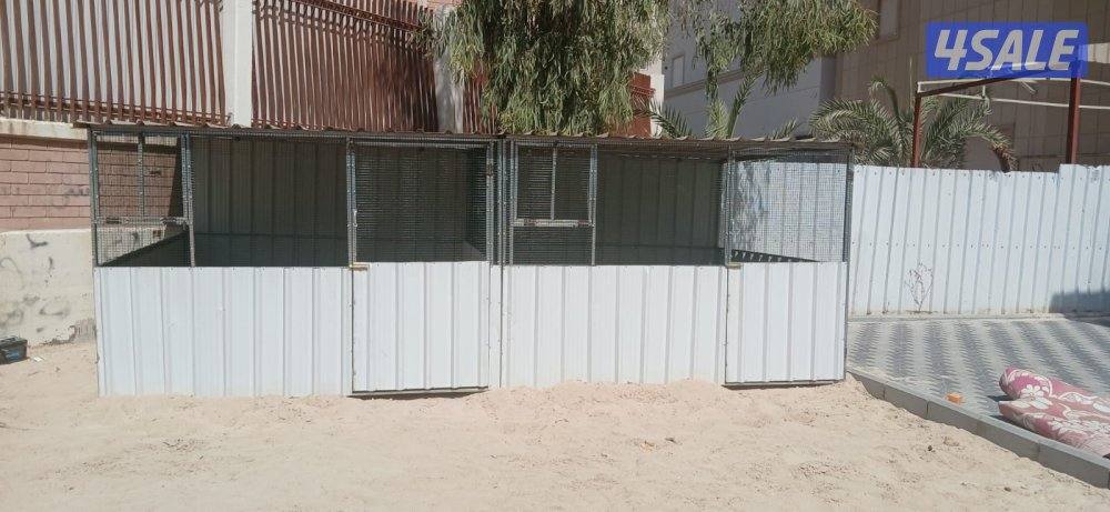 للبيع محاكر وأقفاص حمام جميع الأحجام .. كما يوجد كبرات معزوله14