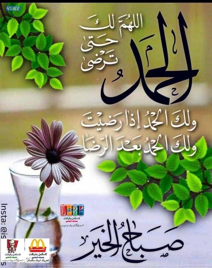 للإيجار شقة الرحاب ق1  جديدة   سوبرديلوكس0