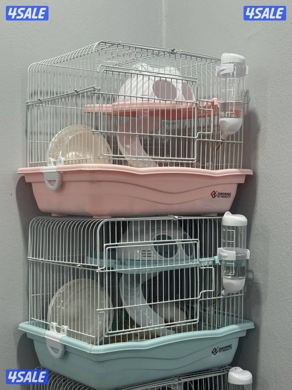 هامستر سوري & غيني بيغ 🐹💕 Syrian Hamster5