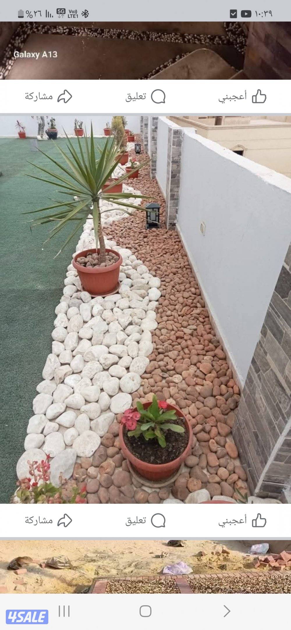 تنسيق حدائق6