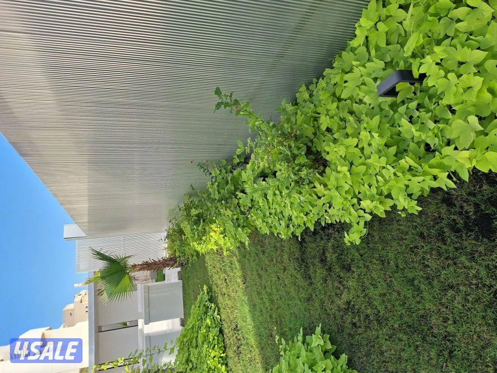 تنسيق حدائق9