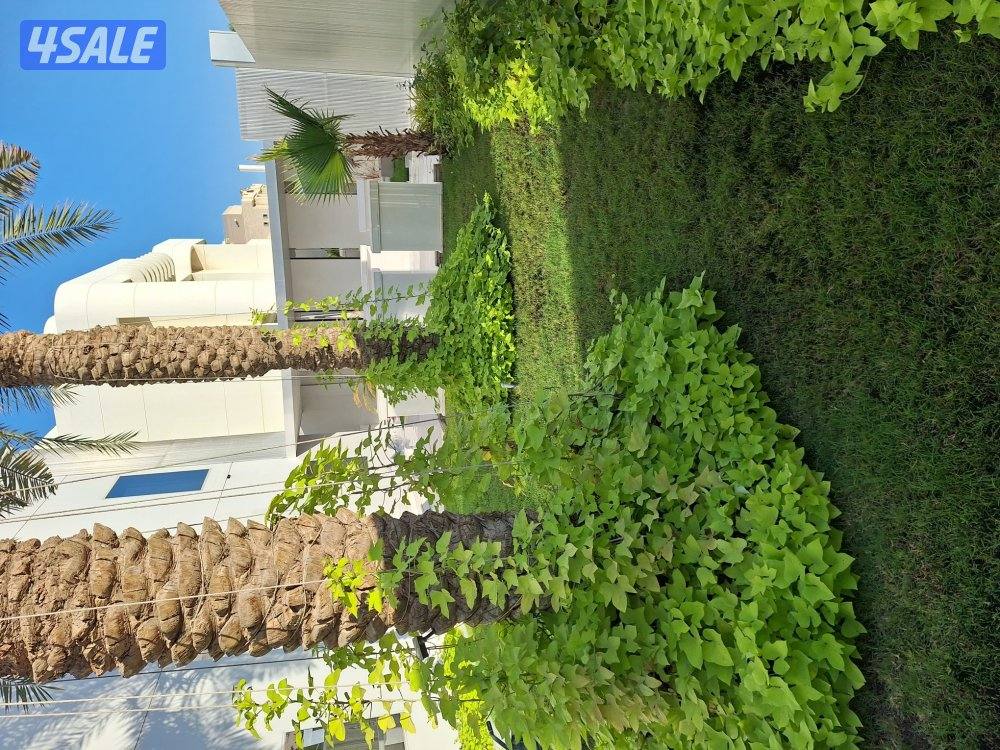 تنسيق حدائق8