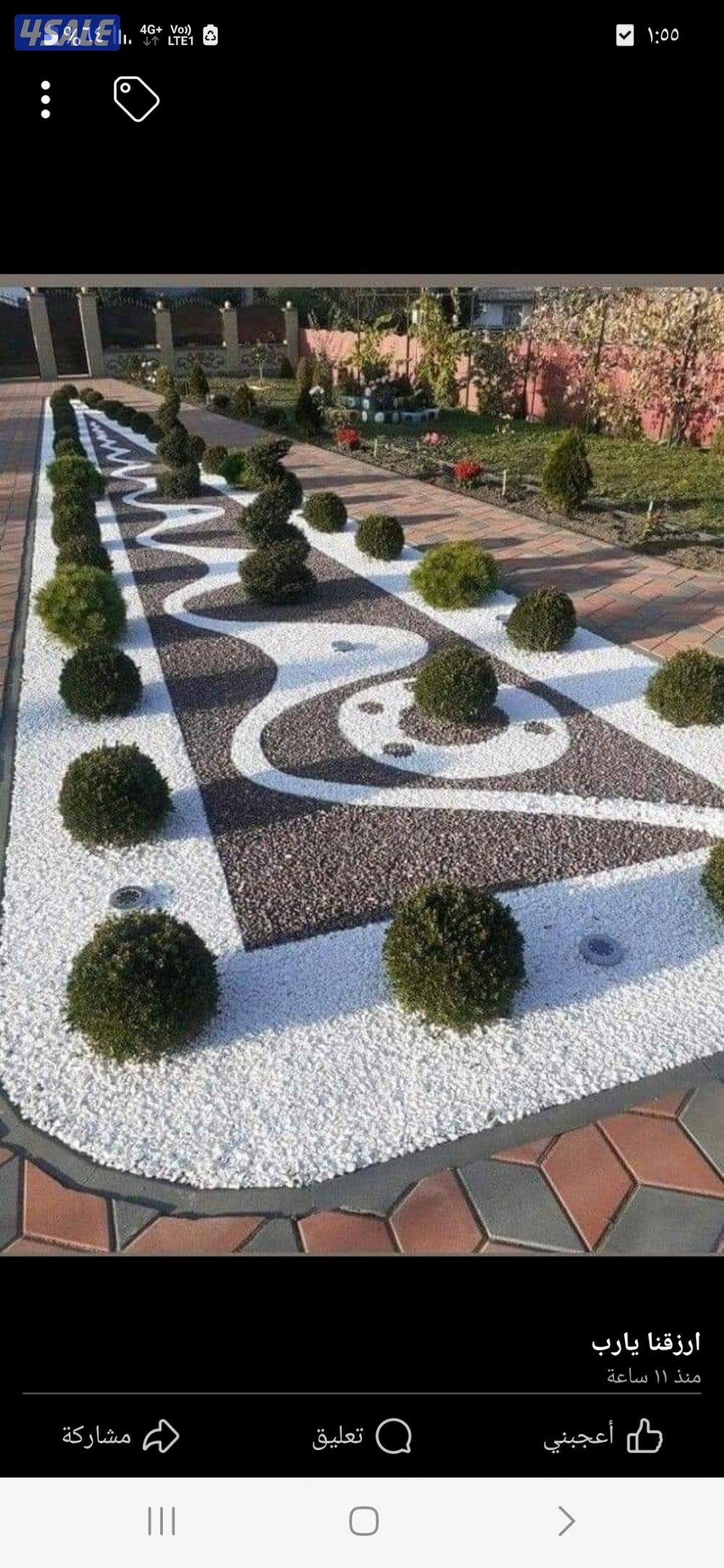 تنسيق حدائق14