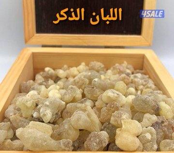 اللبان الحوجري العماني الذكر1