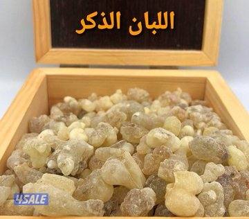 اللبان الحوجري العماني الذكر0