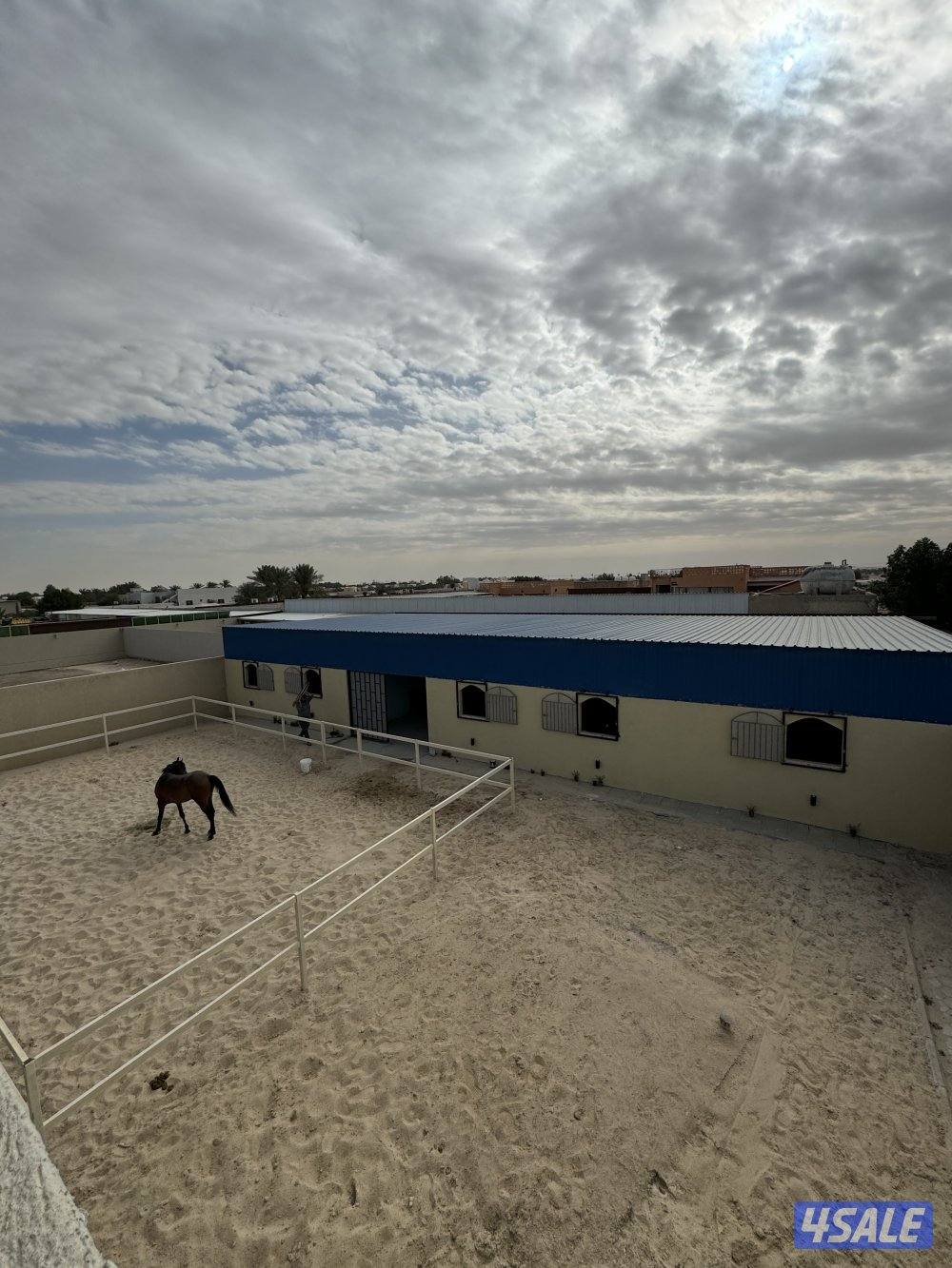 🎠⭐️🐎مربط السرحان🐎⭐️🎠5