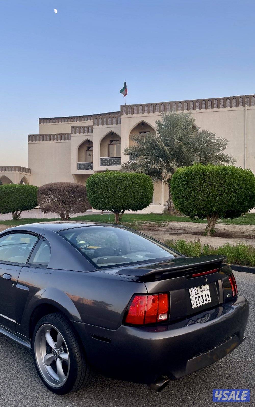 موستنغ GT موديل 2004 قير عادي3