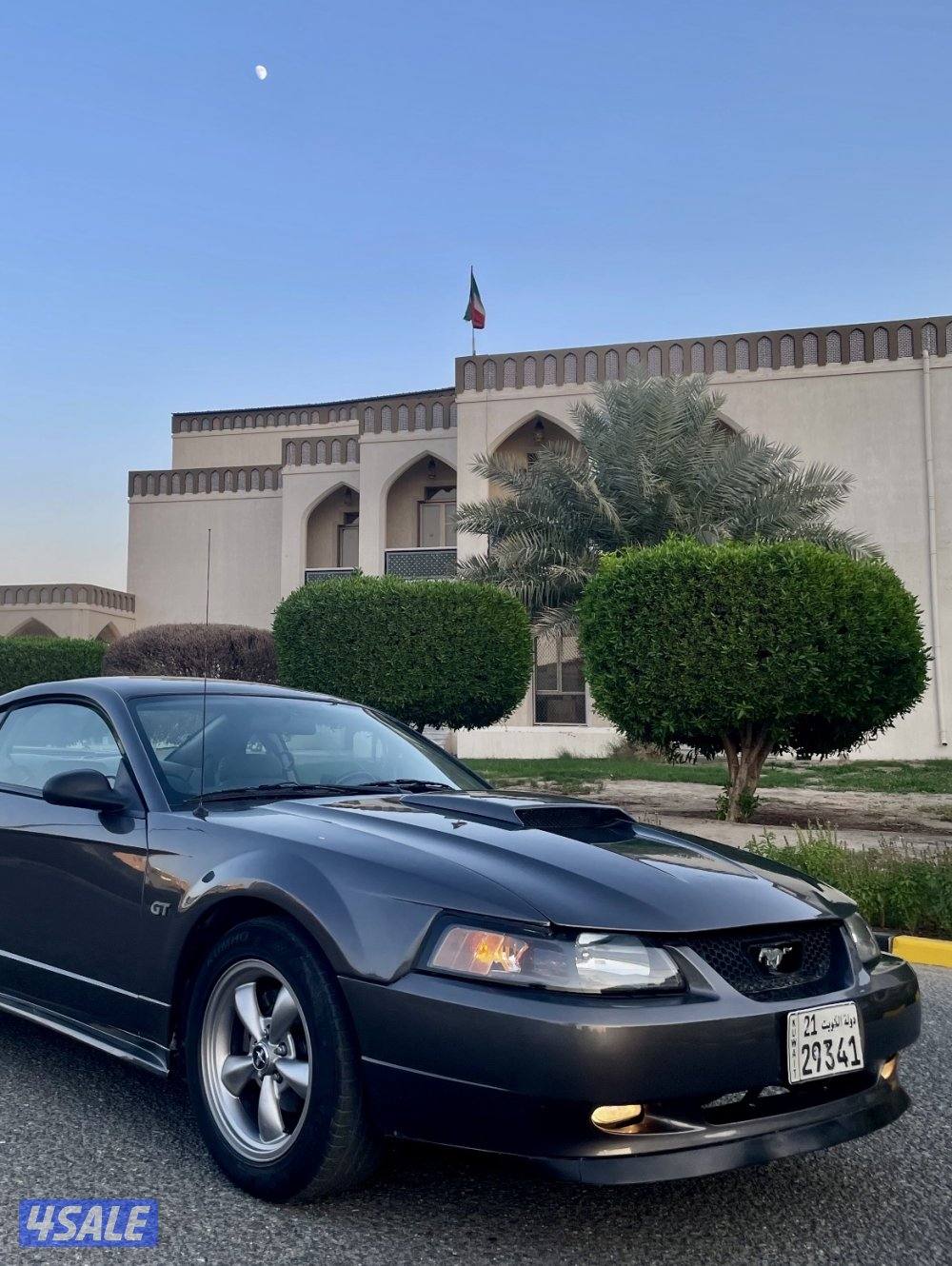 موستنغ GT موديل 2004 قير عادي6