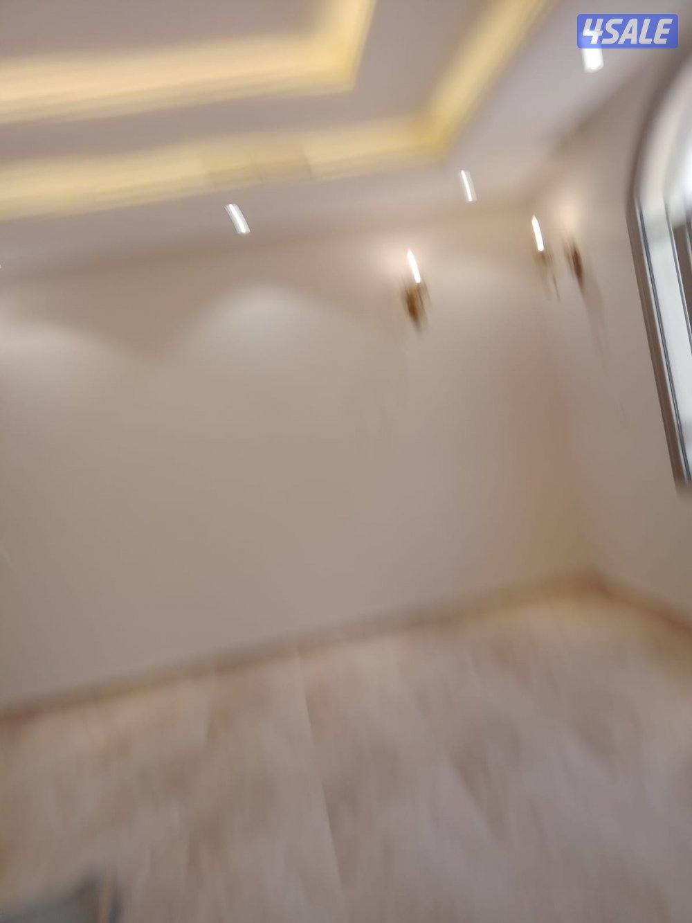 اصباغ سيجما مساح بديل شيبورت معجون علي الأسود1