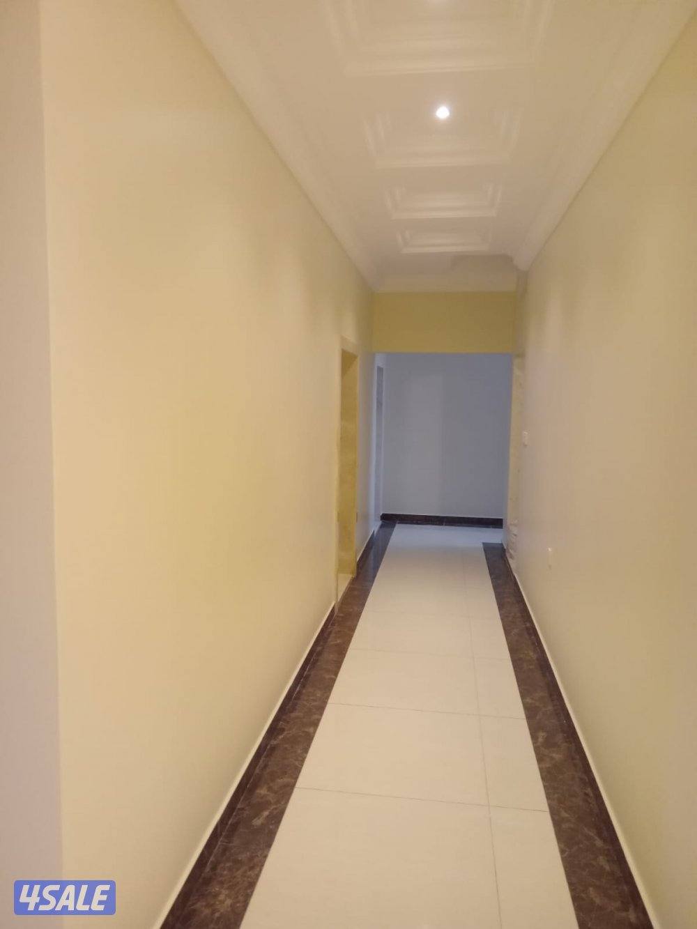 اصباغ سيجما مساح بديل شيبورت معجون علي الأسود3