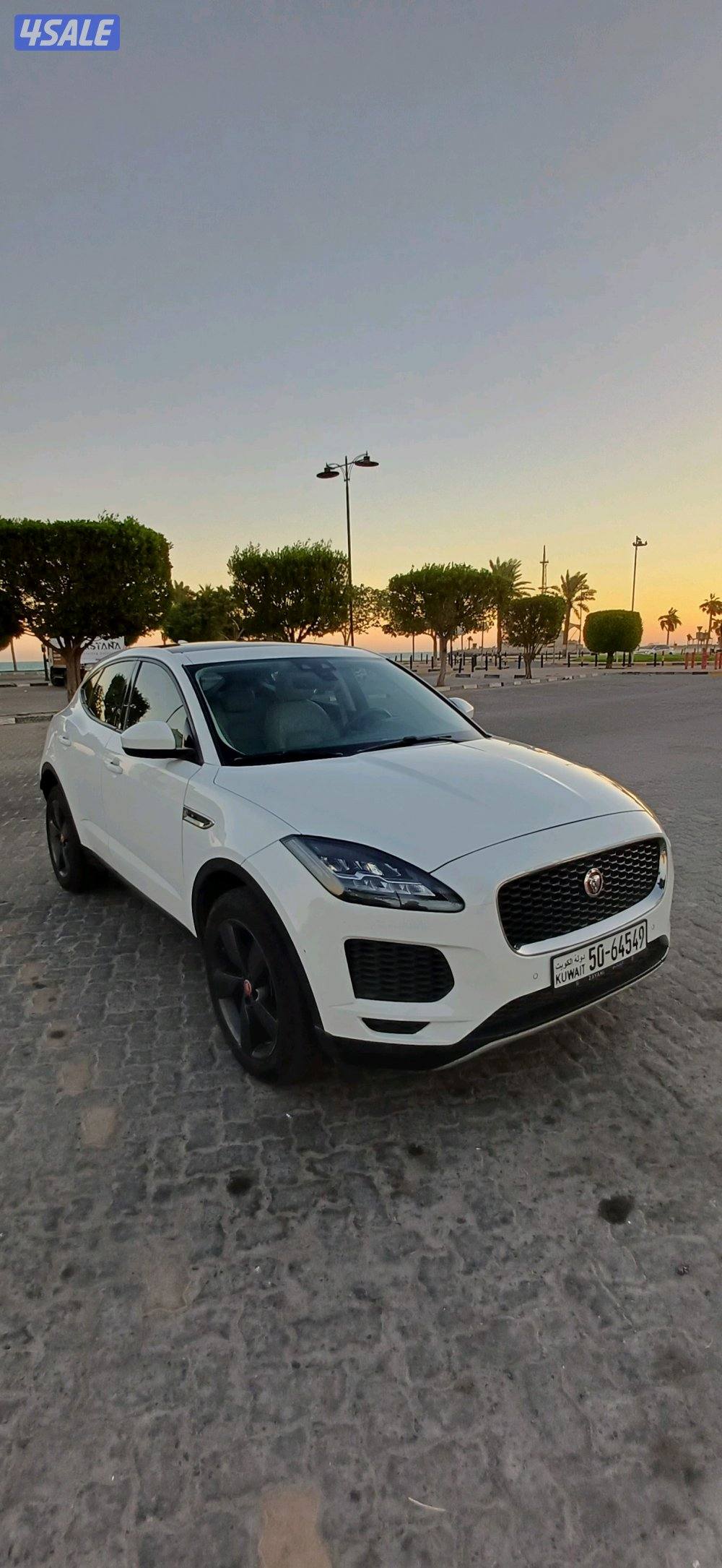 الشعب البحري0