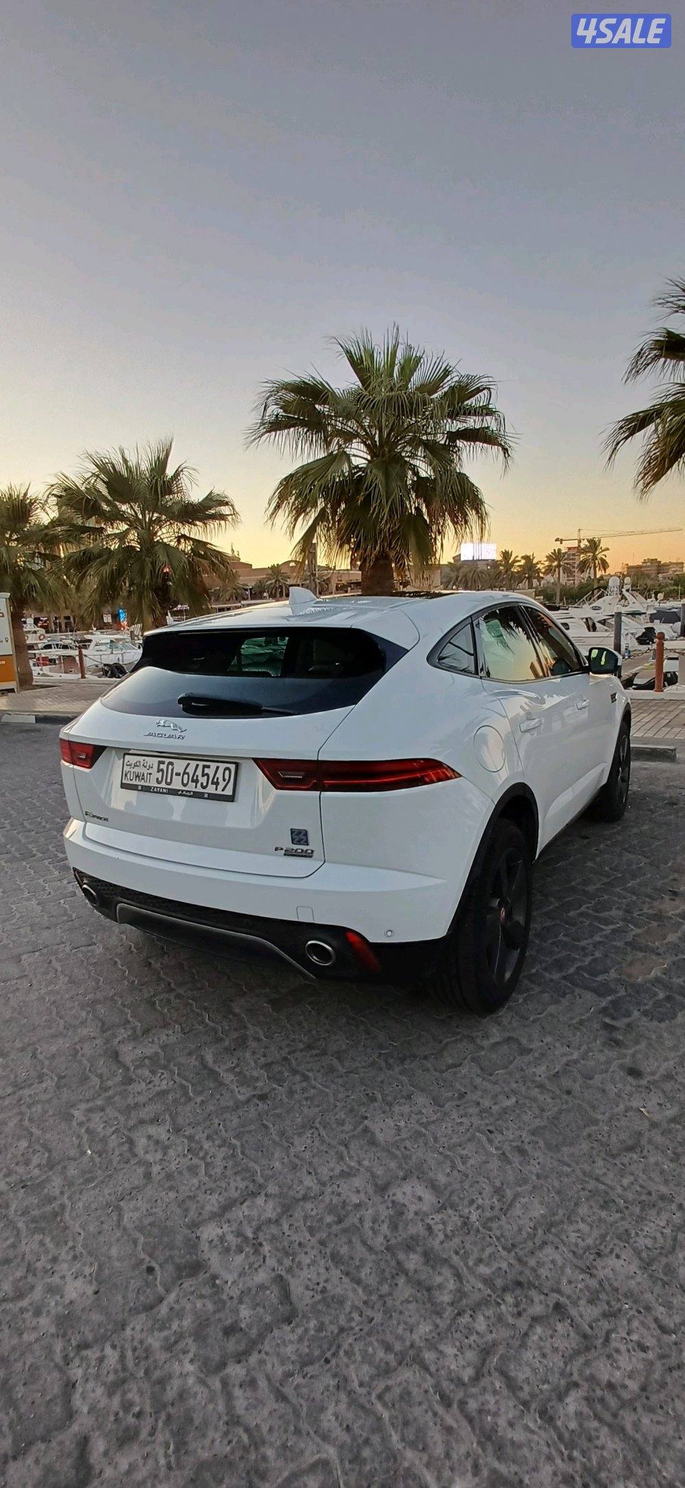 الشعب البحري2