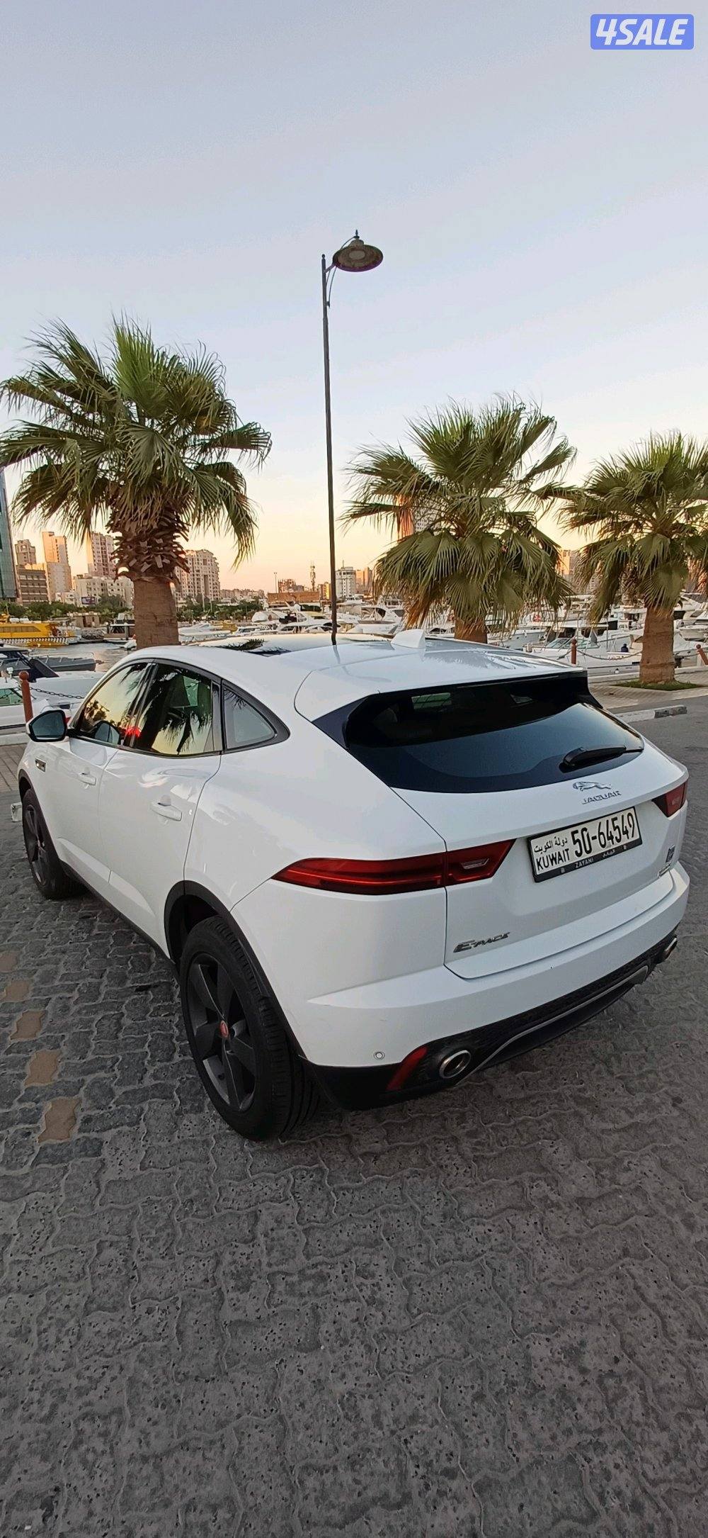 الشعب البحري3