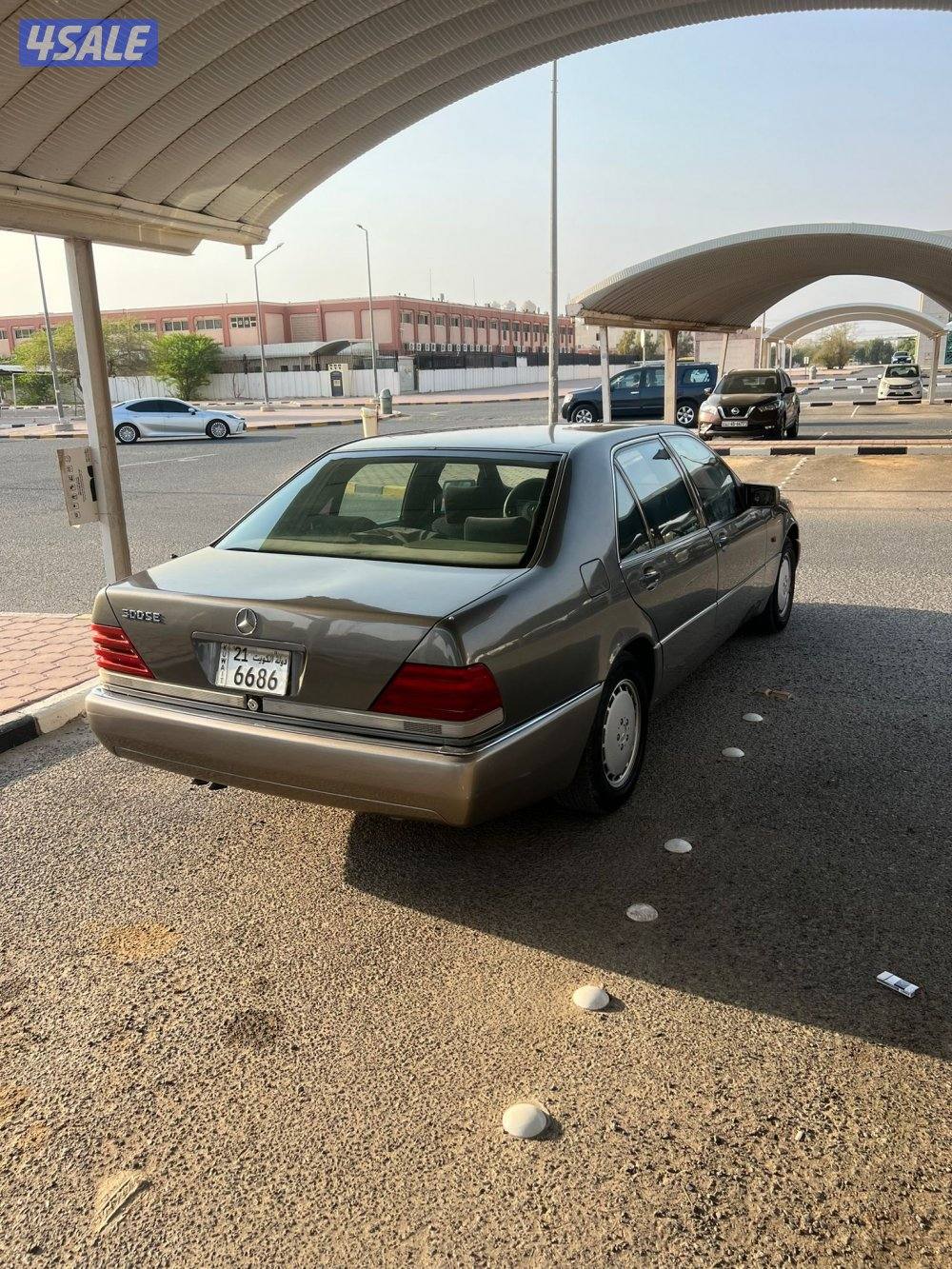 شيخ 500 تو مصبوغ كان صبغ وكاله0