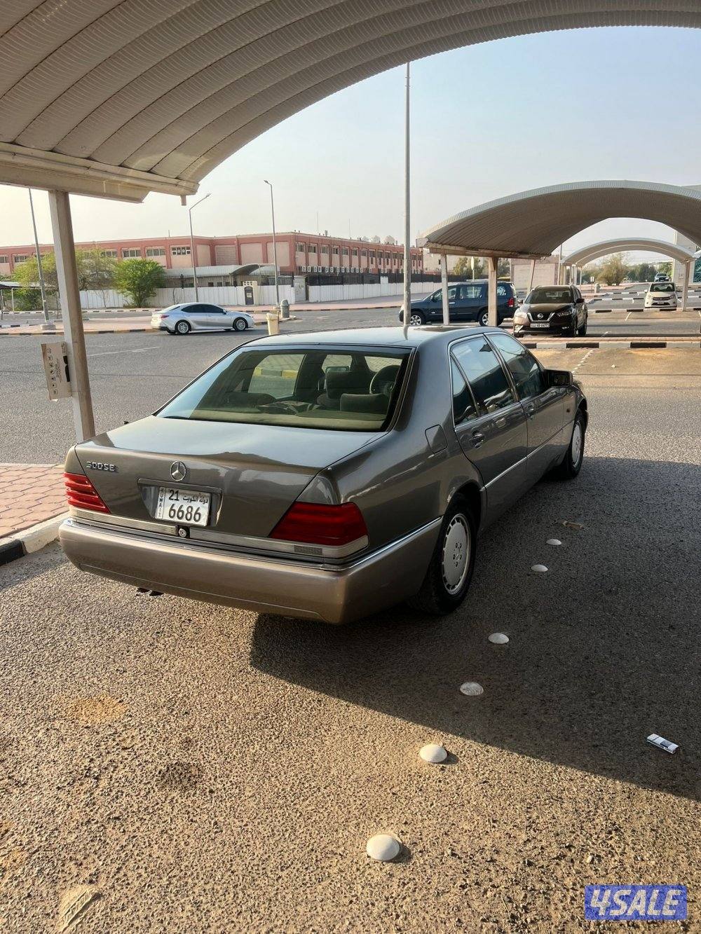 شيخ 500 تو مصبوغ كان صبغ وكاله4