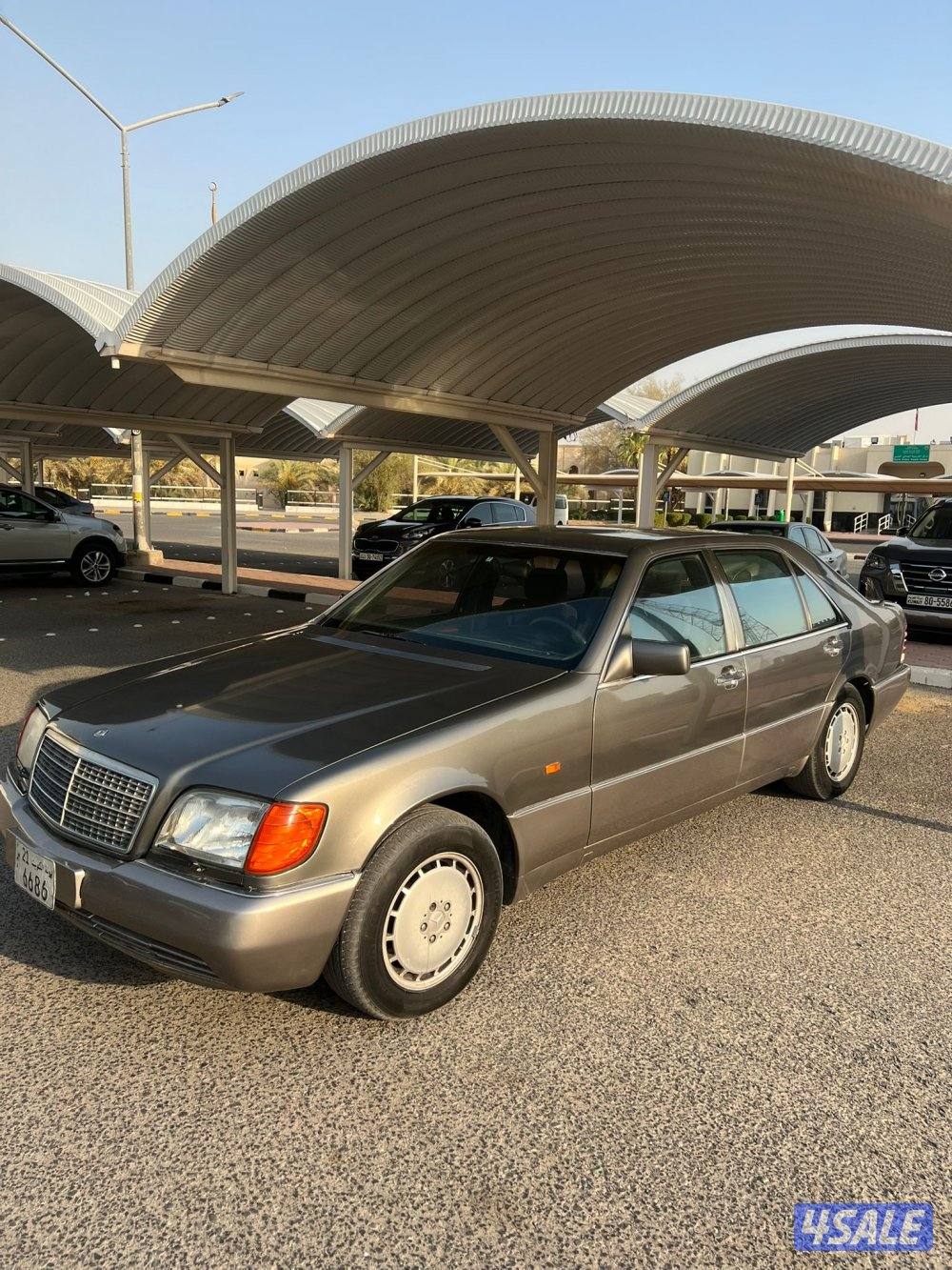 شيخ 500 تو مصبوغ كان صبغ وكاله6