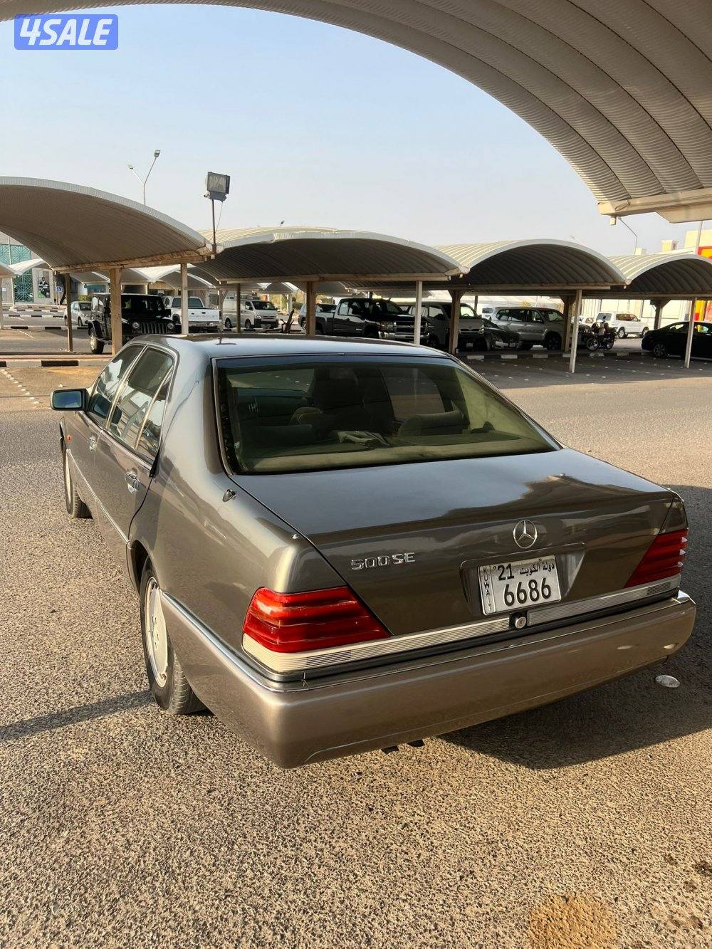 شيخ 500 تو مصبوغ كان صبغ وكاله7