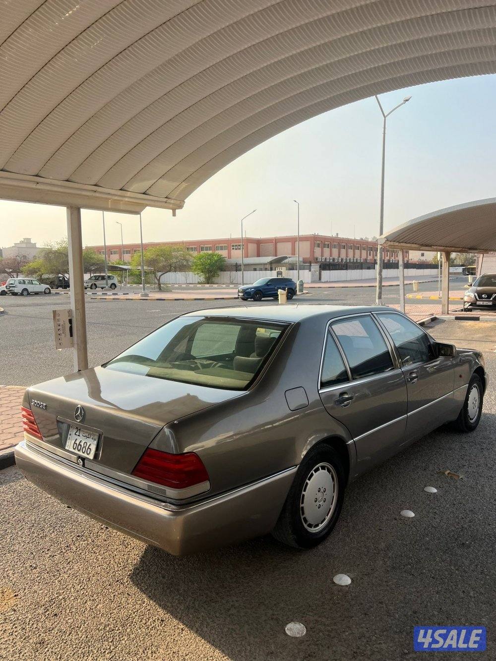 شيخ 500 تو مصبوغ كان صبغ وكاله8