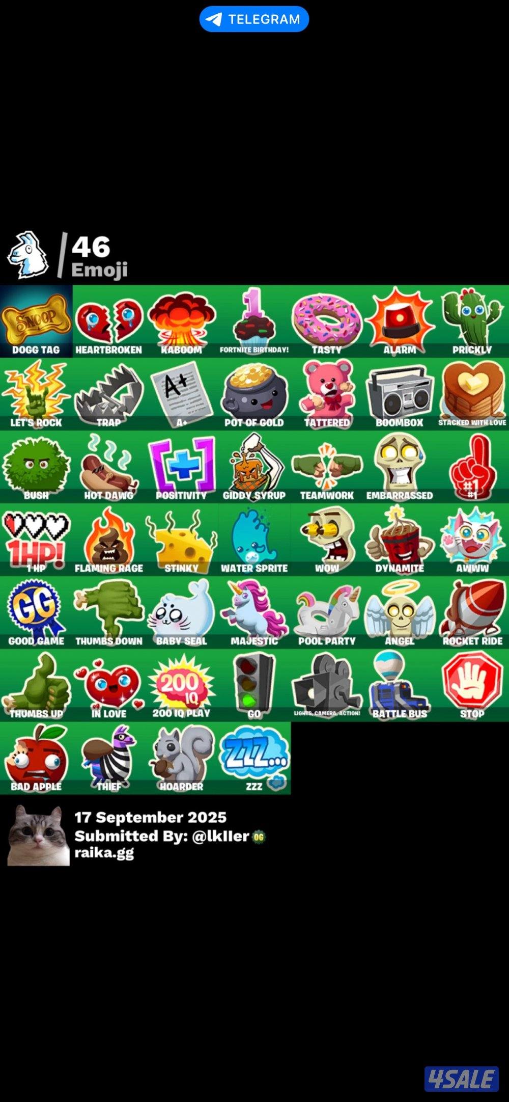 حساب فورت نايت نادر10